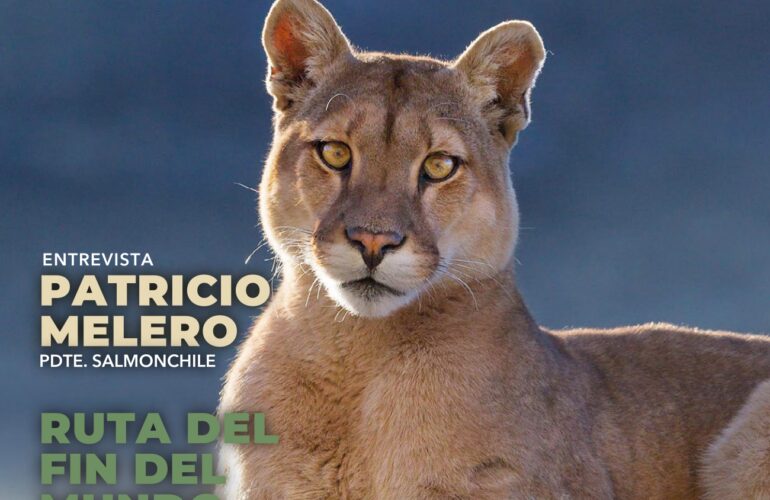 Dotmar | Revista Puerto a Puerto | Edición 70